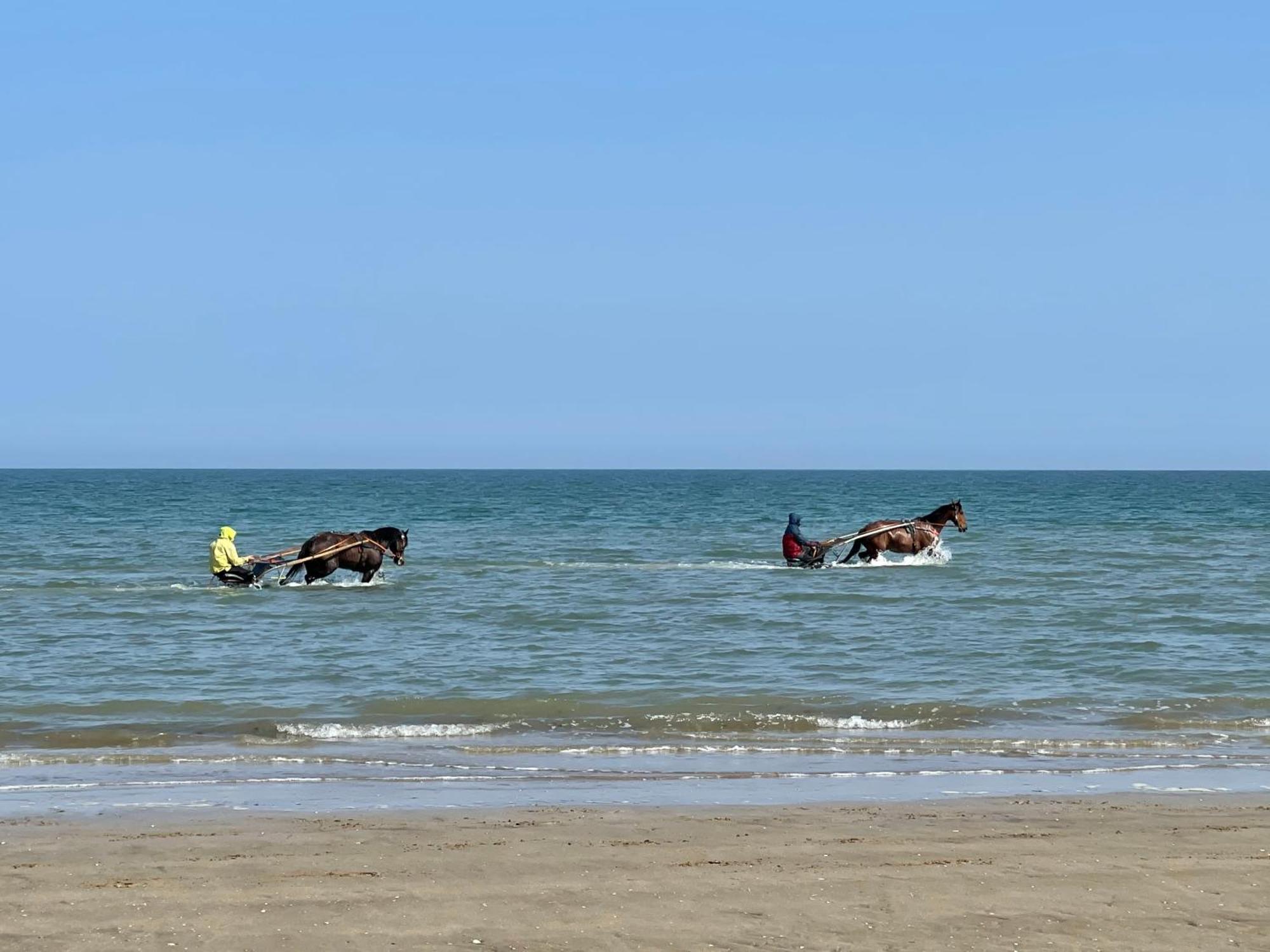 Holiday home Les Myrtilles Cabourg